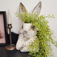 Load image into Gallery viewer, Chippy white rabbit head garden planter filled with greenery.
