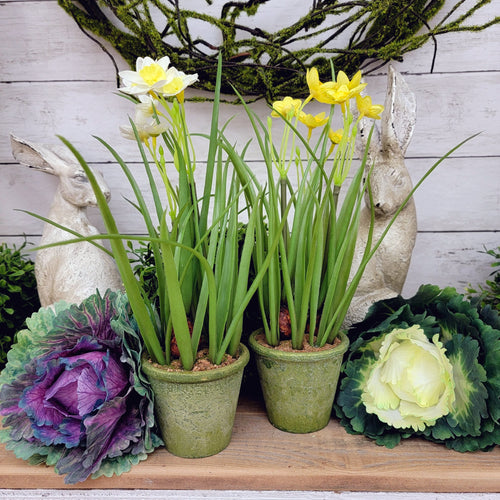 Spring Potted Daffodil display with cottage rabbits and faux cabbage. 
