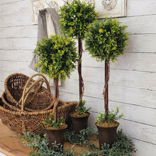 Load image into Gallery viewer, Classic farmhouse boxwood topiarys and willow nesting baskets.
