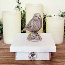 Load image into Gallery viewer, Vintage Inspired Distressed Trinket Container with Crystal Knob
