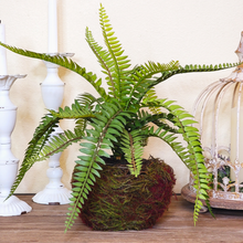 Load image into Gallery viewer, Nested Artificial Boston Fern

